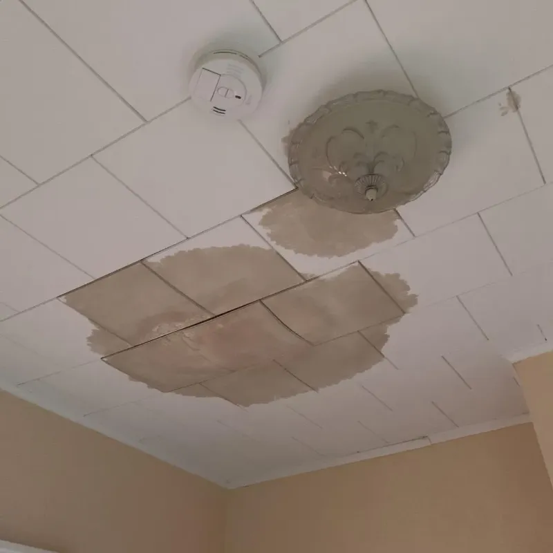 Ceiling Water Damage Repair in Grove City, OH