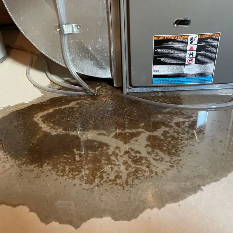 Pipe Burst and Leak Restoration in Grove City, OH